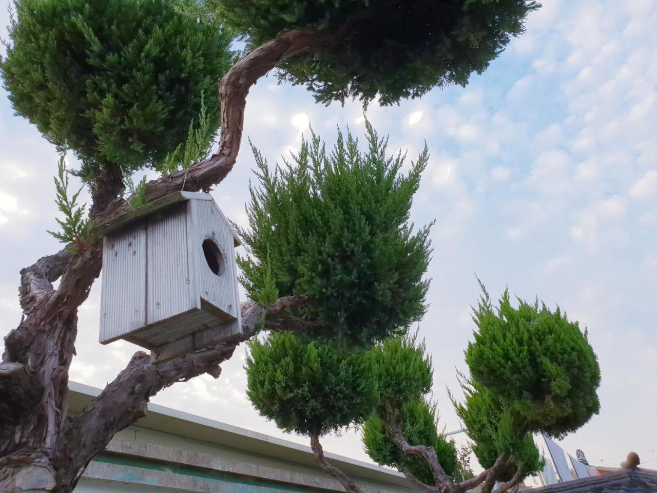 Hanok Raon Gyeongju Exterior photo